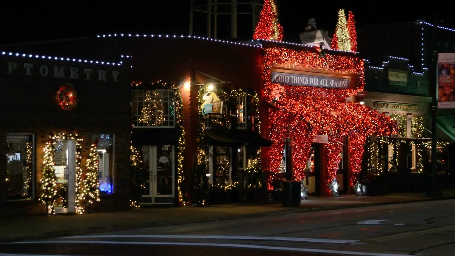 Grapevine Christmas Lights