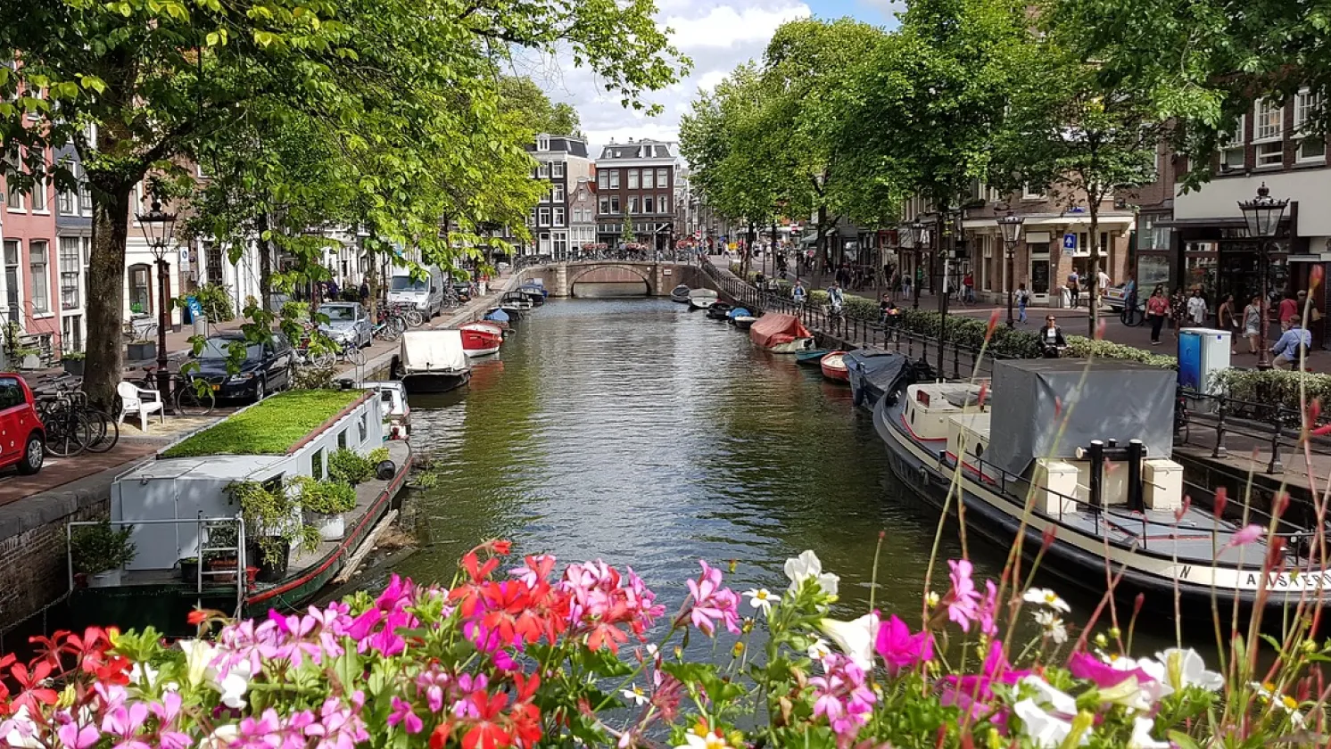 Amsterdam flowers