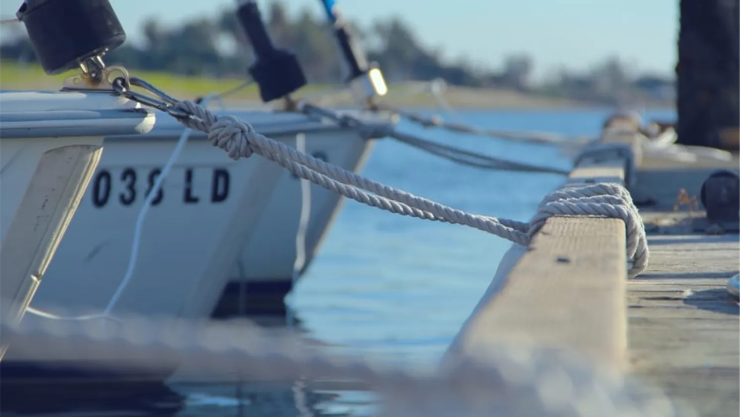 Boats tied at the dock