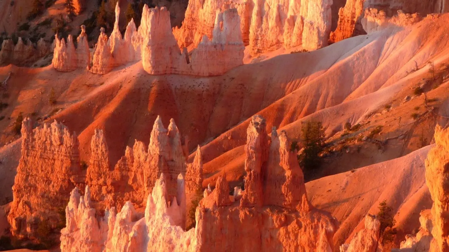 Bryce canyon