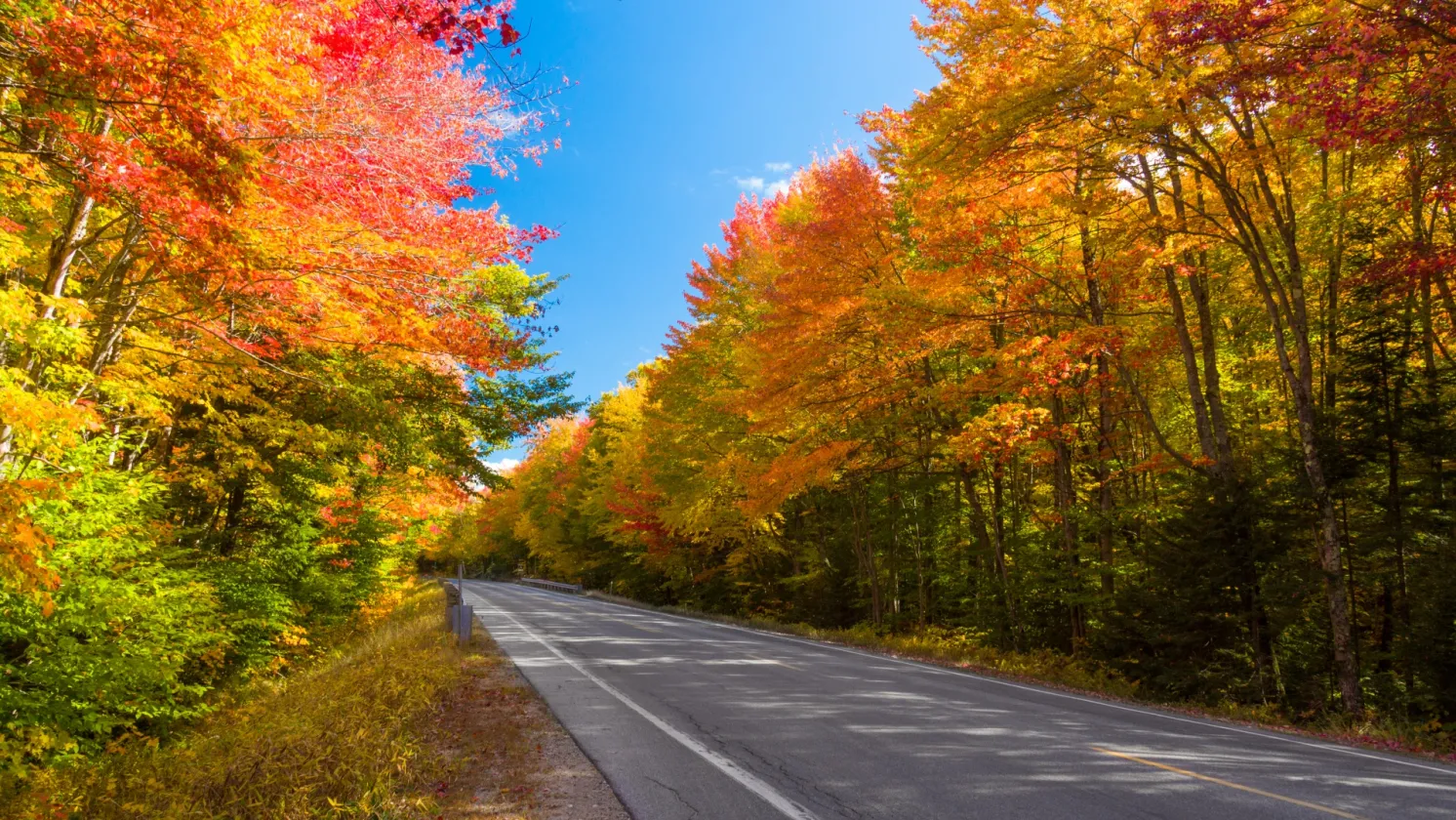 Road through the fall foliage