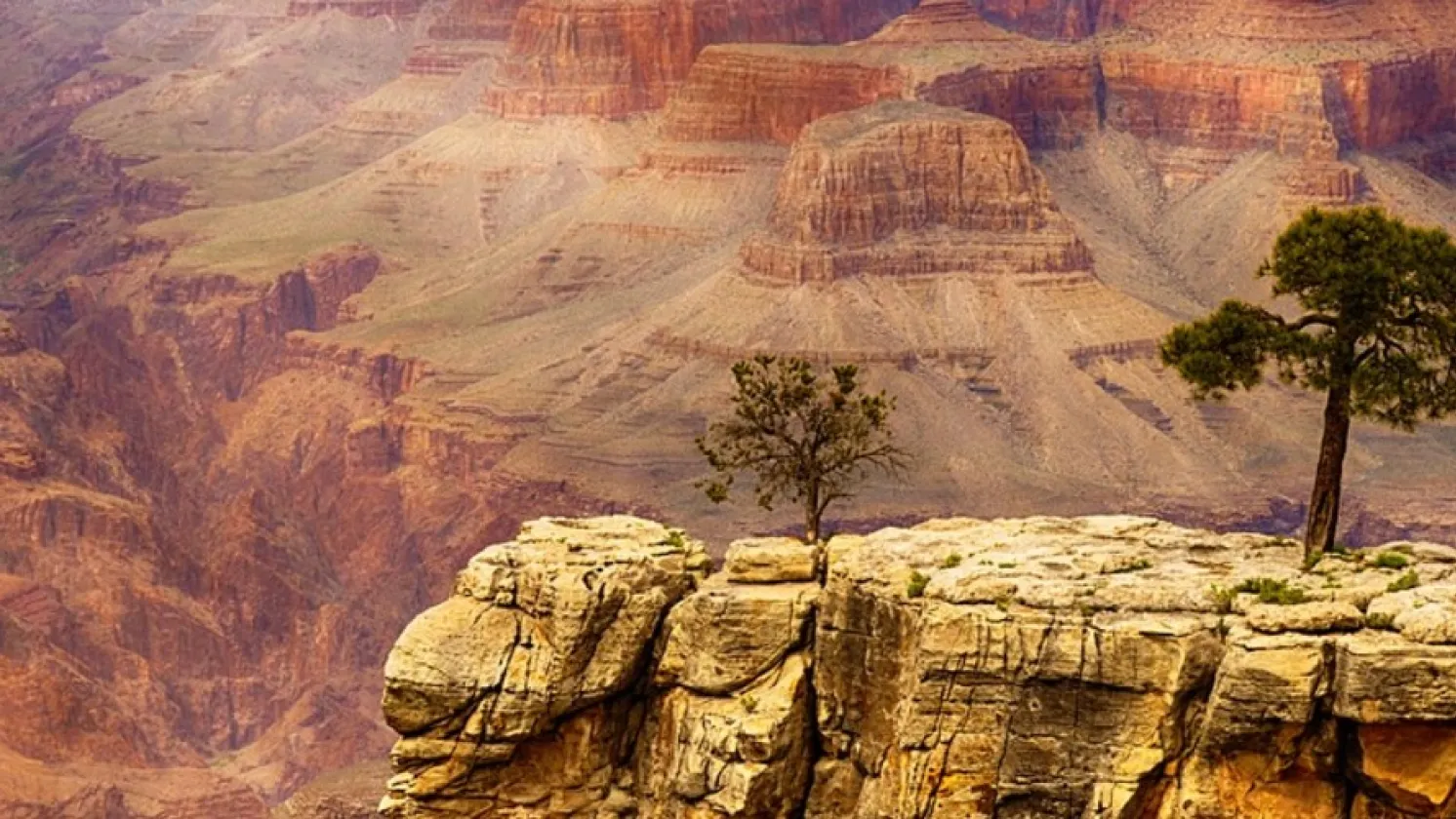 Grand Canyon