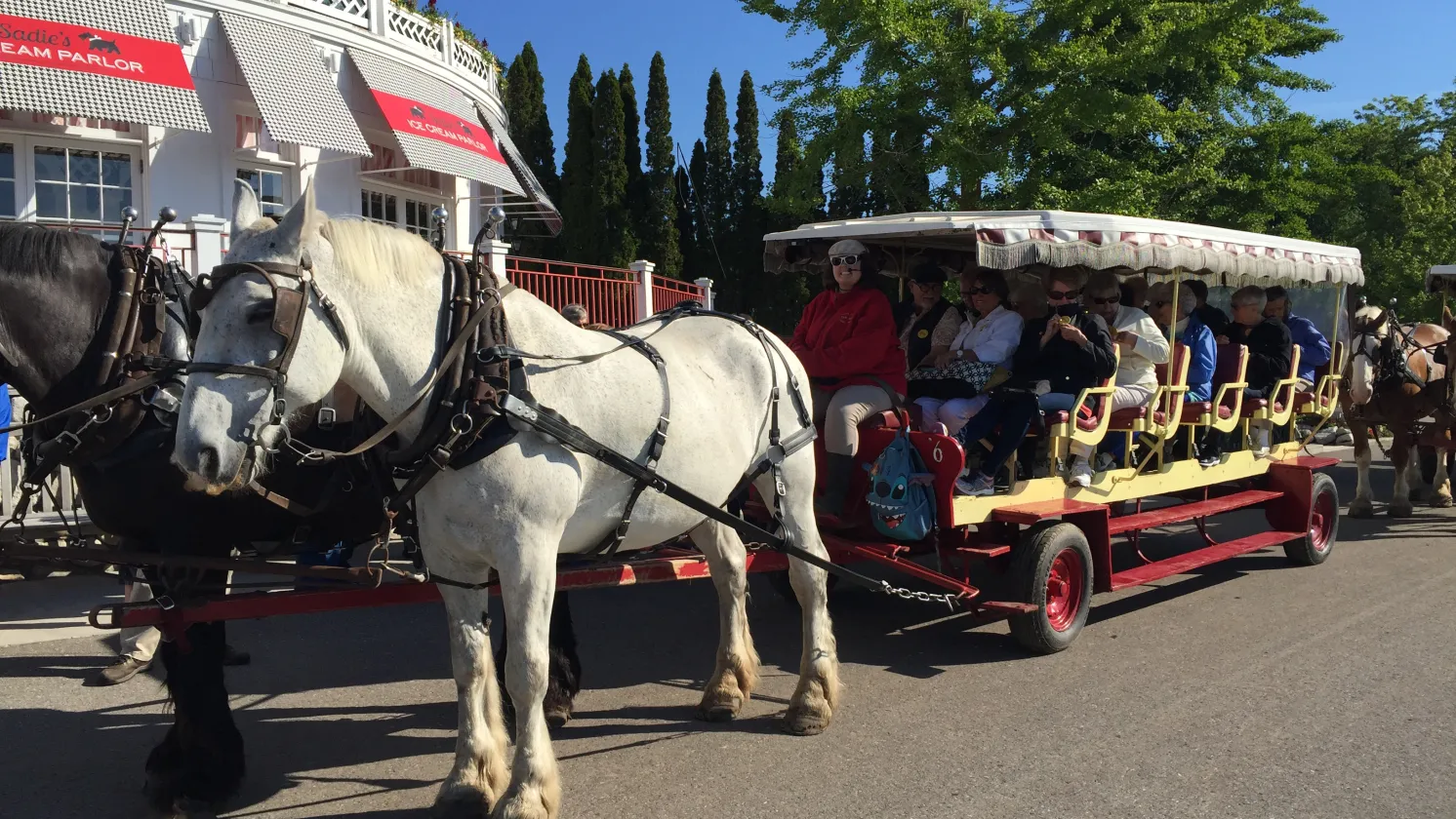Sports Leisure travelers riding in a horse carriage in Mackinac, Michigan