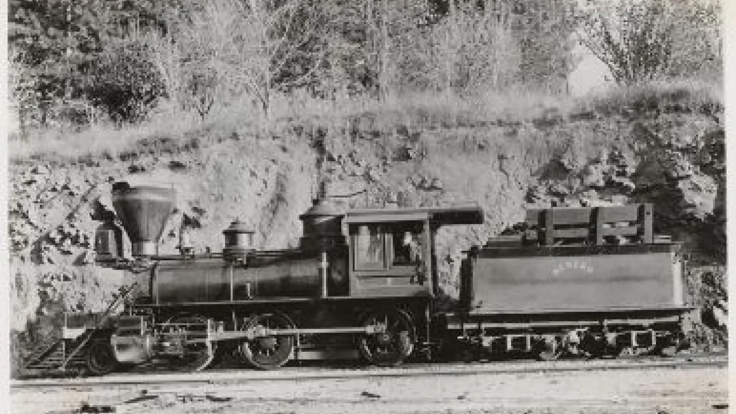 Nevada County Narrow Gauge RR #5