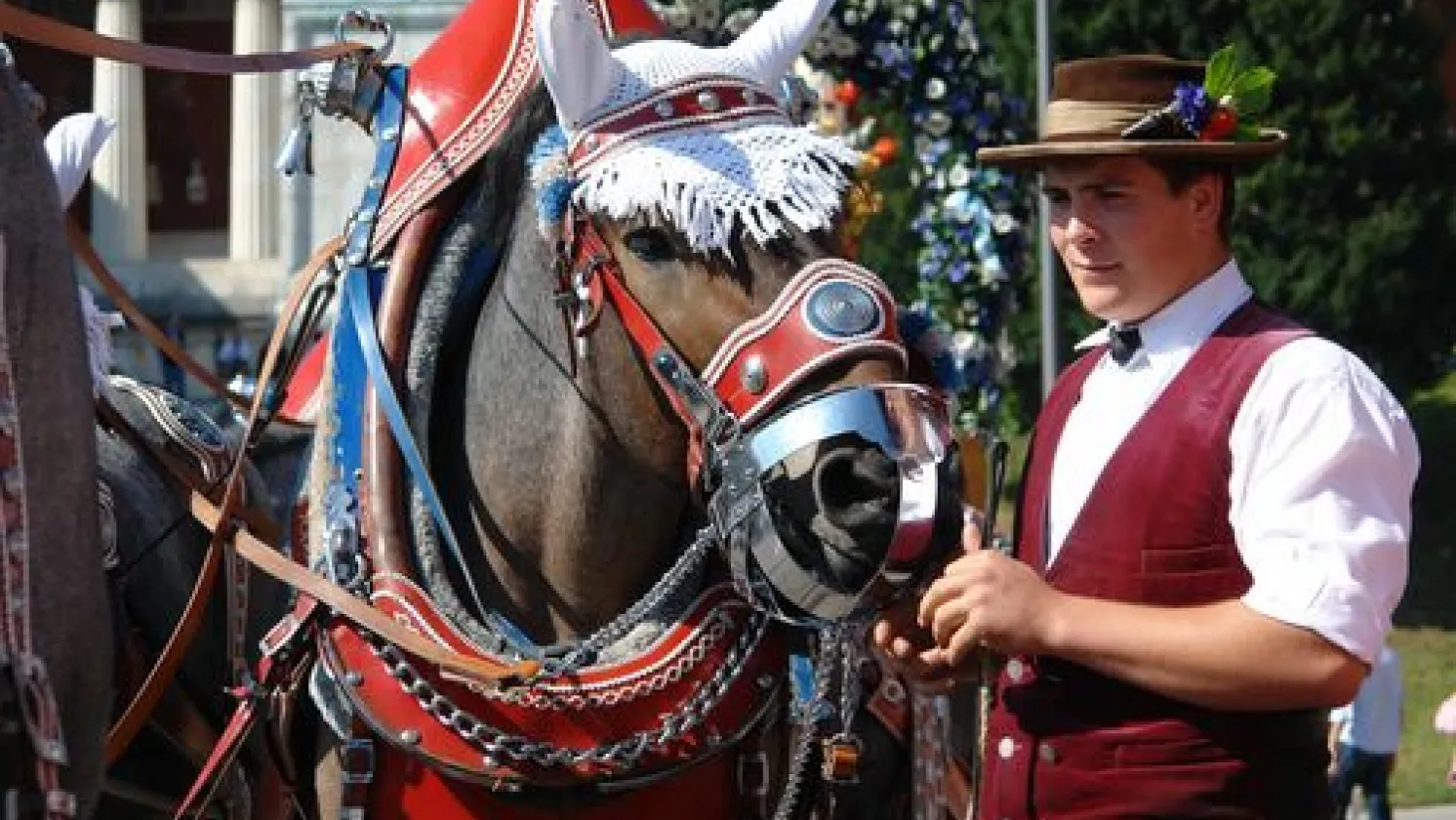 Oktoberfest Kutscher