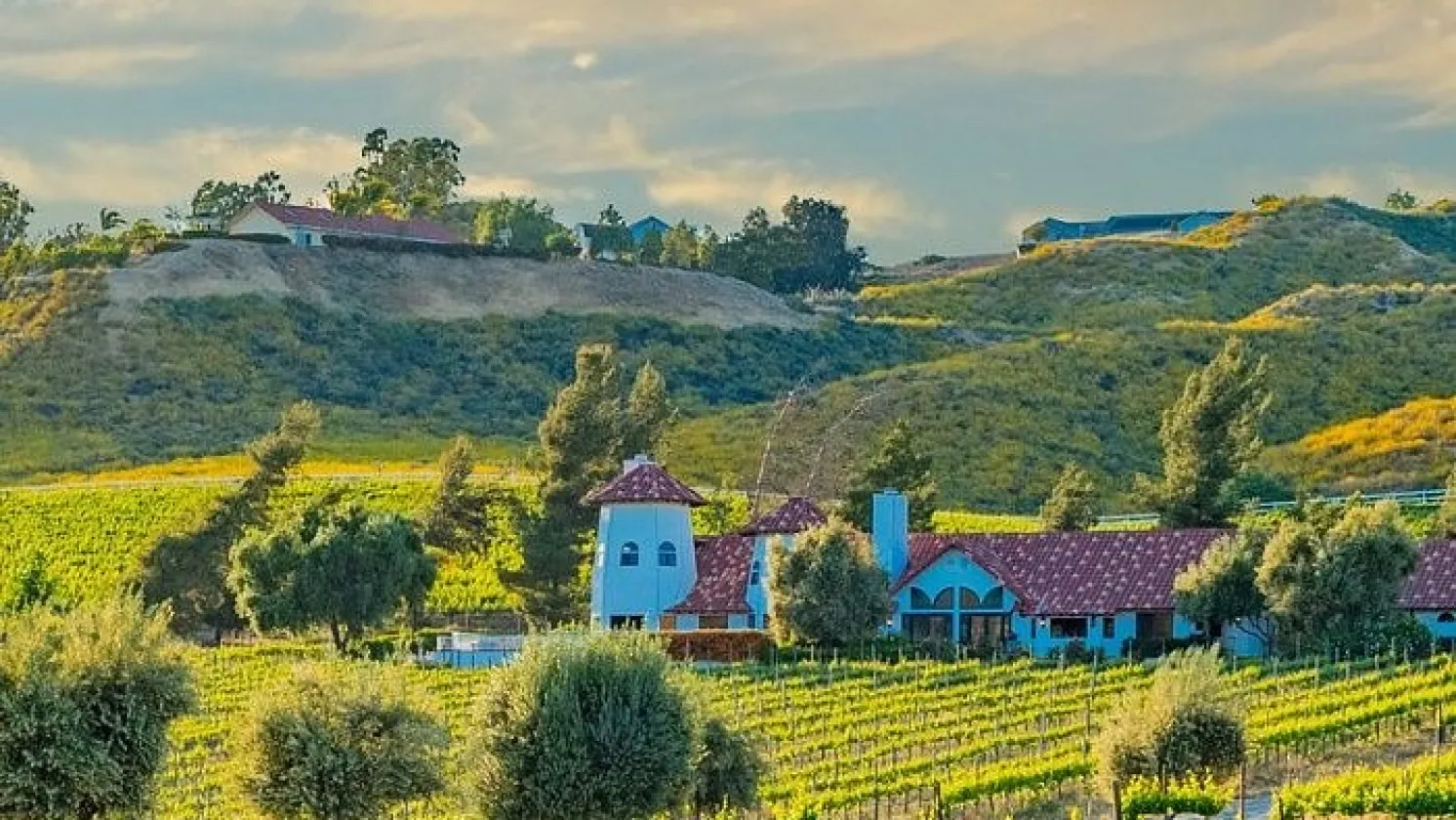San Diego Winery
