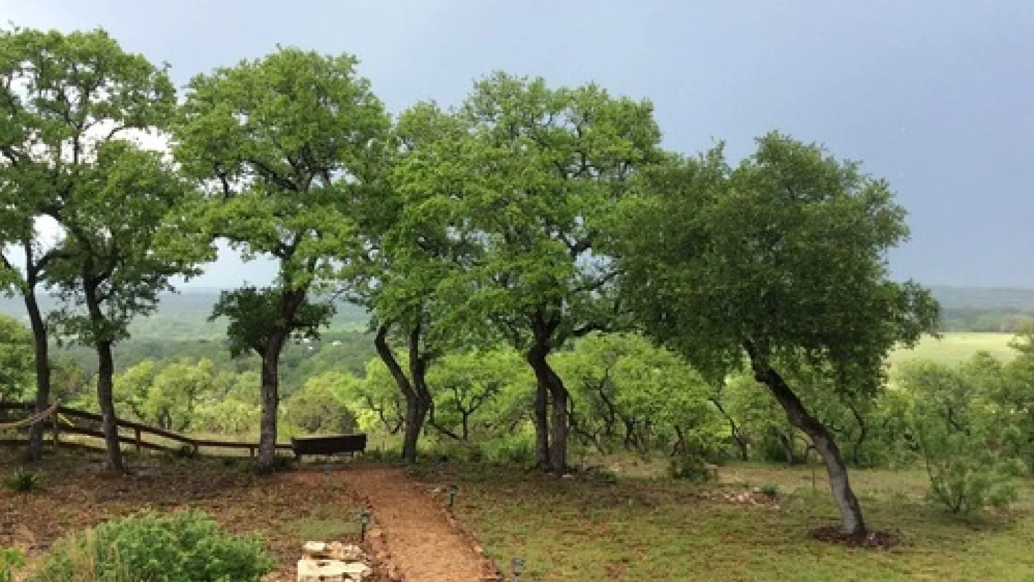 Texas Hill