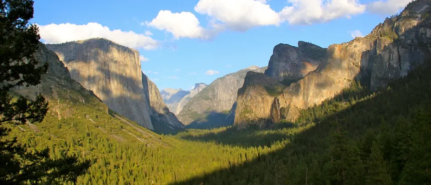 El Capitan and Cathedral Rocks seen in the distance. Half Dome and Cloud Rest seen in far back.