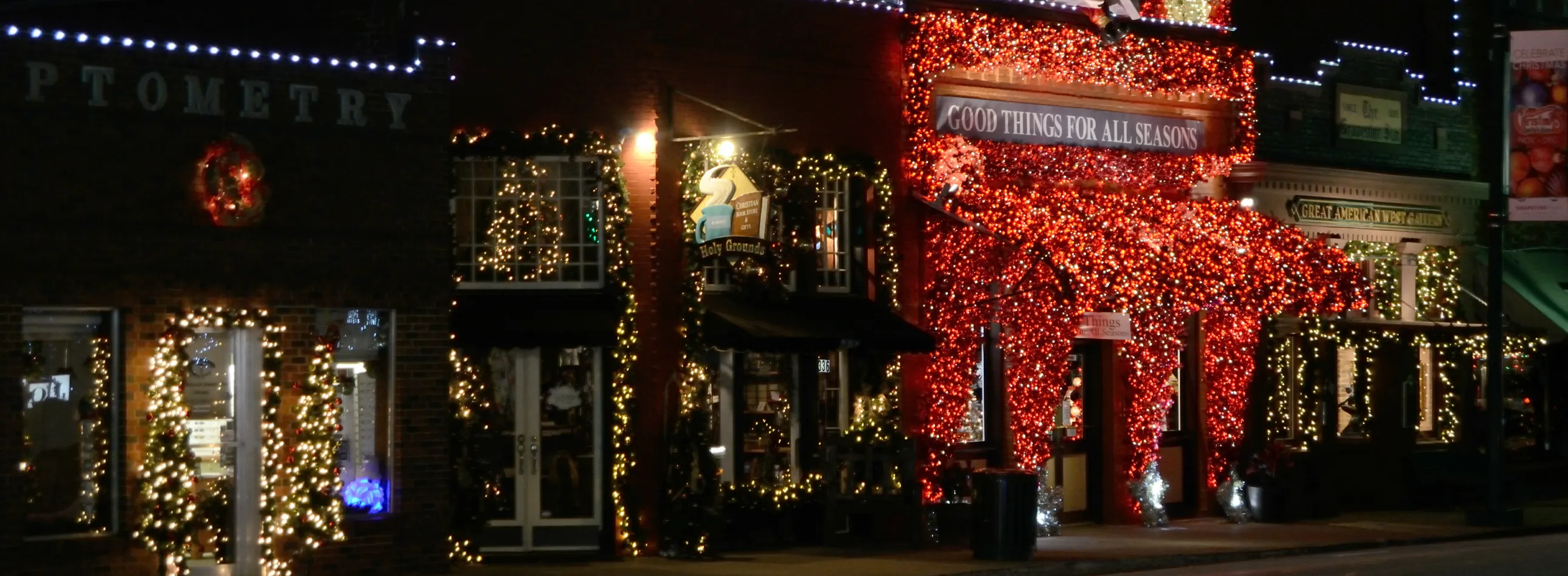 Grapevine Christmas Lights