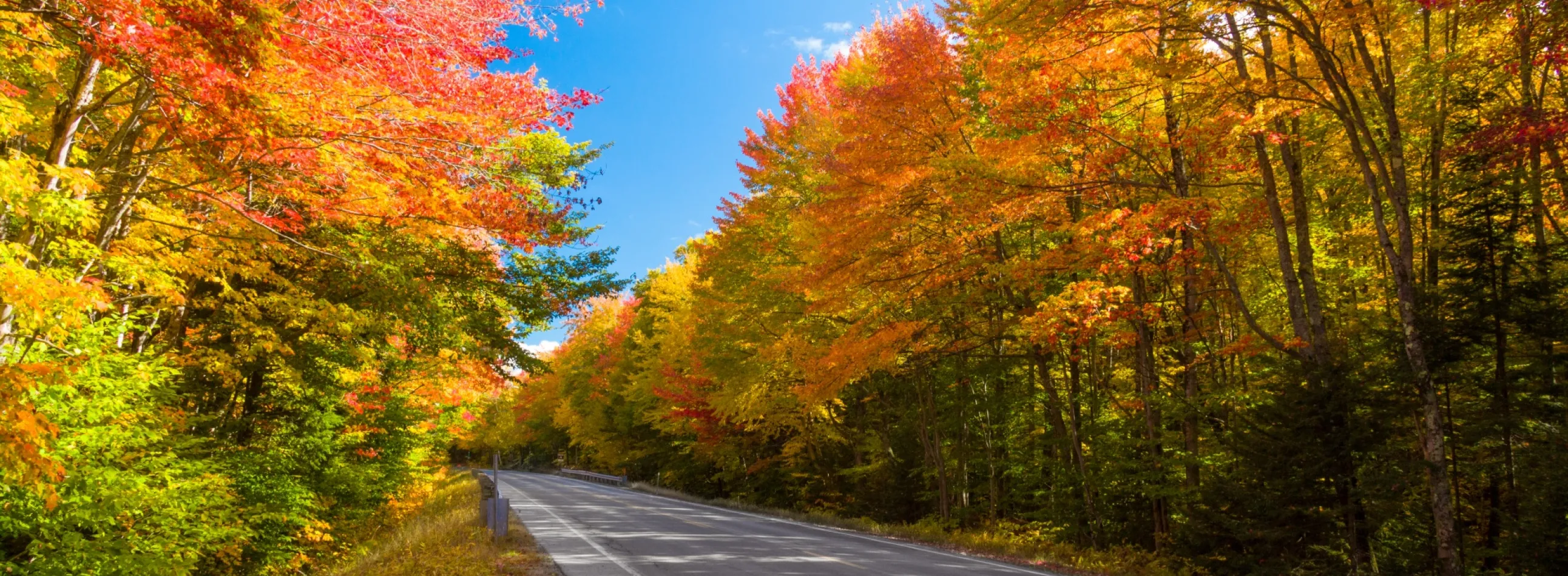 Road through the fall foliage