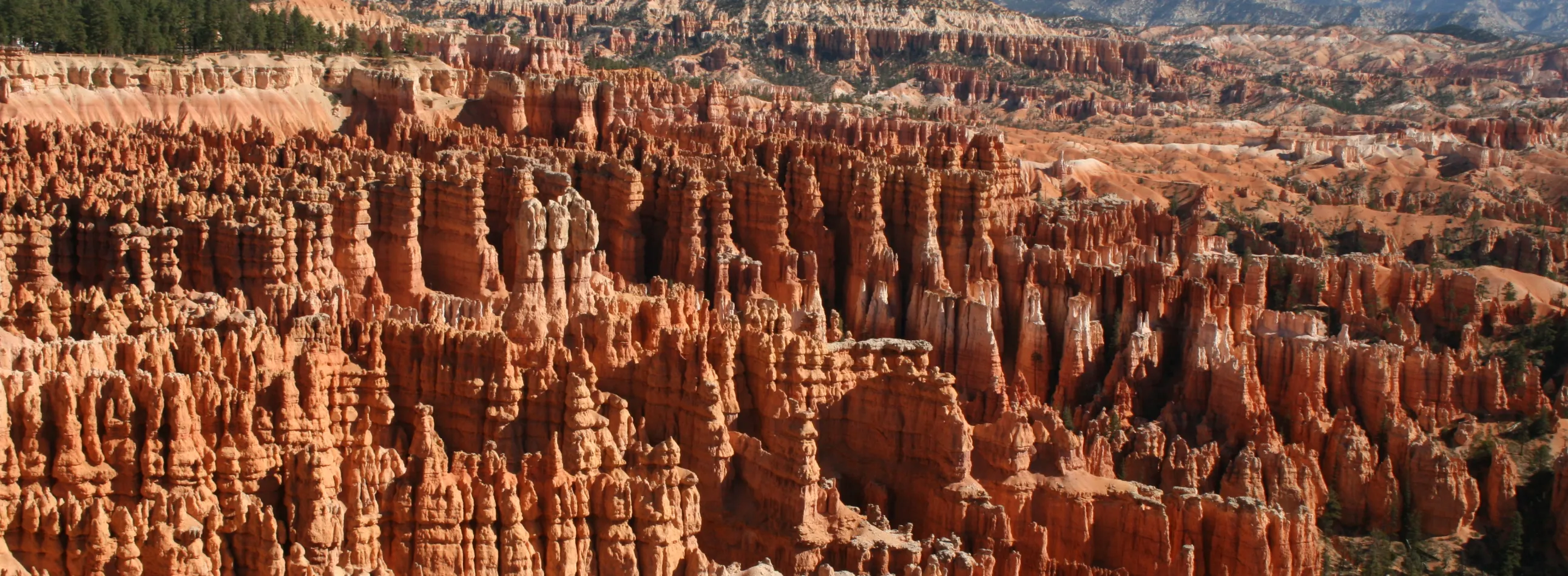 Bryce Canyon view