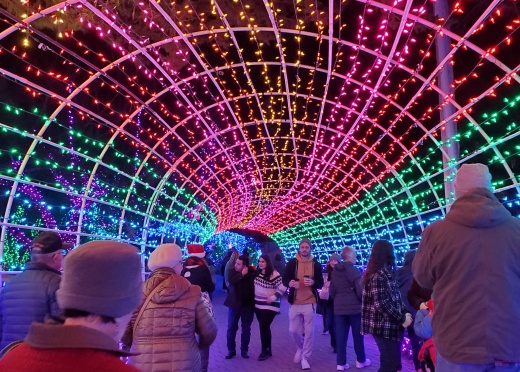 Christmas light tunnel