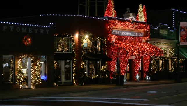 Grapevine Christmas Lights