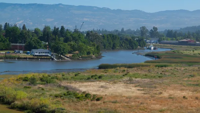 Napa River