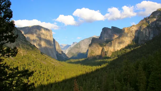 El Capitan and Cathedral Rocks seen in the distance. Half Dome and Cloud Rest seen in far back.