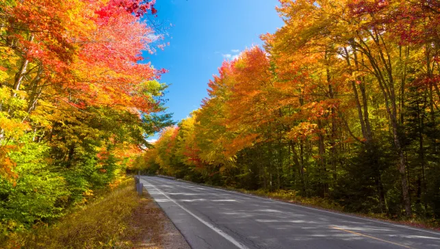 Road through the fall foliage