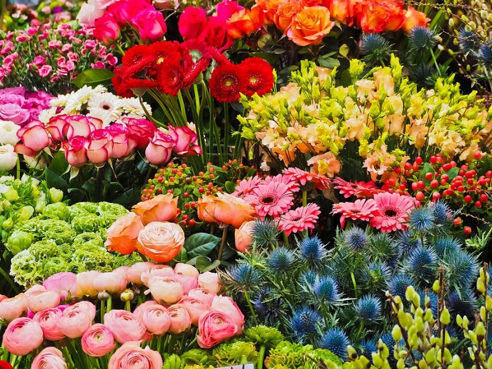 An array of flowers